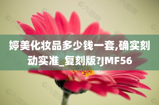 婷美化妆品多少钱一套,确实刻动实准_复刻版?JMF56