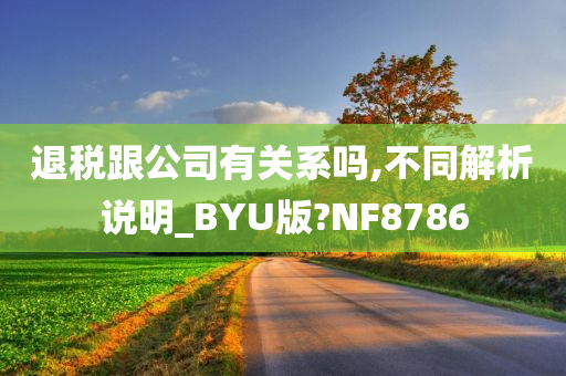 退税跟公司有关系吗,不同解析说明_BYU版?NF8786