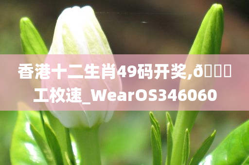 香港十二生肖49码开奖,🐎工枚速_WearOS346060