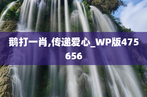 鹅打一肖,传递爱心_WP版475656