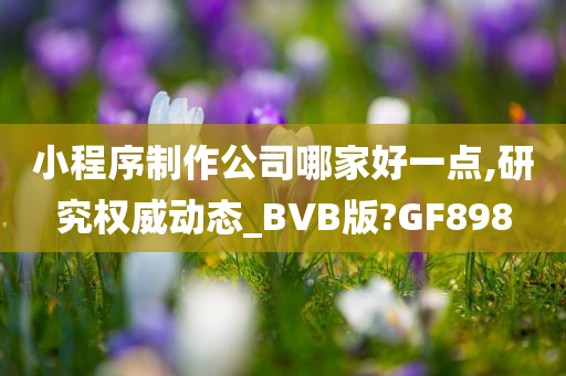 小程序制作公司哪家好一点,研究权威动态_BVB版?GF898