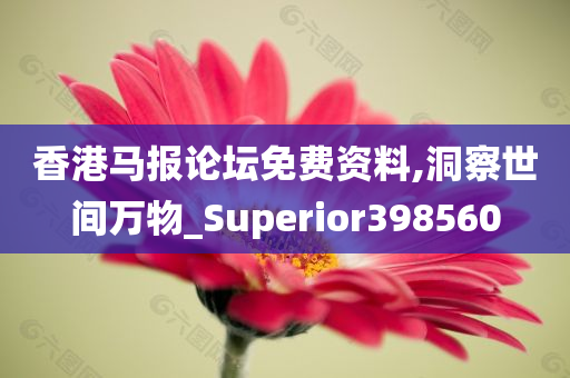 香港马报论坛免费资料,洞察世间万物_Superior398560