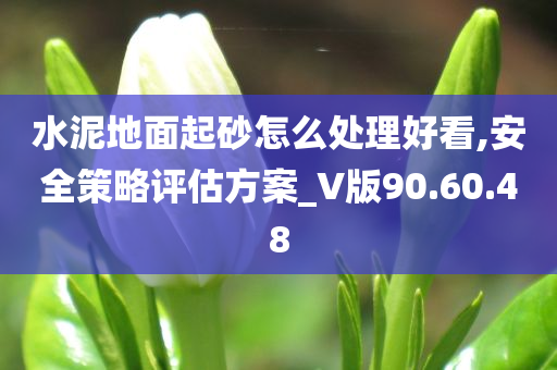 水泥地面起砂怎么处理好看,安全策略评估方案_V版90.60.48