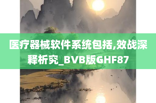 医疗器械软件系统包括,效战深释析究_BVB版GHF87