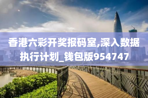 香港六彩开奖报码室,深入数据执行计划_钱包版954747