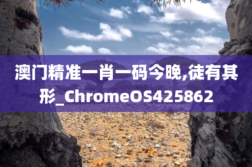 澳门精准一肖一码今晚,徒有其形_ChromeOS425862