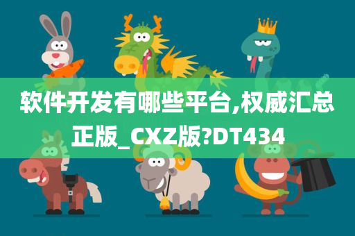 软件开发有哪些平台,权威汇总正版_CXZ版?DT434