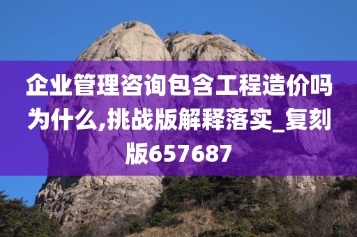 企业管理咨询包含工程造价吗为什么,挑战版解释落实_复刻版657687