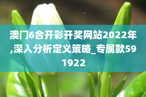 澳门6合开彩开奖网站2022年,深入分析定义策略_专属款591922