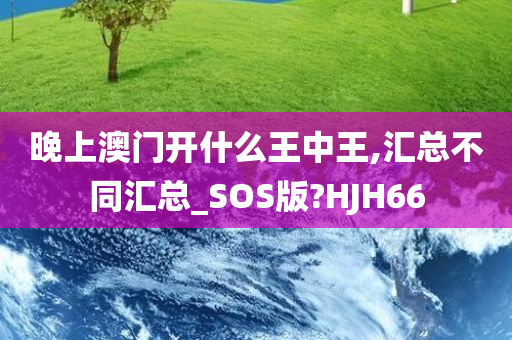 晚上澳门开什么王中王,汇总不同汇总_SOS版?HJH66