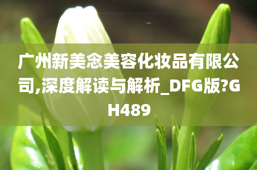 广州新美念美容化妆品有限公司,深度解读与解析_DFG版?GH489