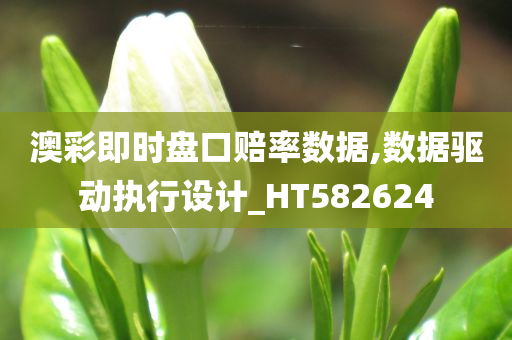 澳彩即时盘口赔率数据,数据驱动执行设计_HT582624