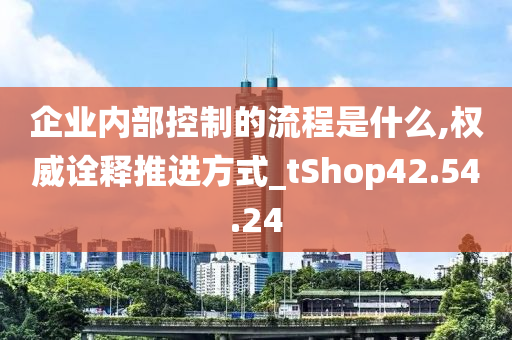 企业内部控制的流程是什么,权威诠释推进方式_tShop42.54.24