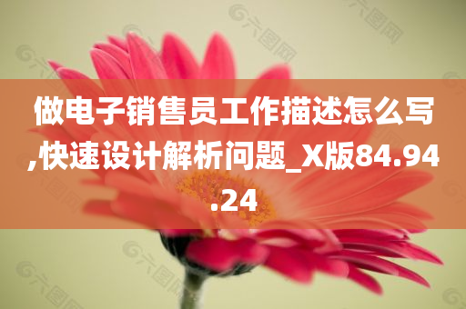 做电子销售员工作描述怎么写,快速设计解析问题_X版84.94.24