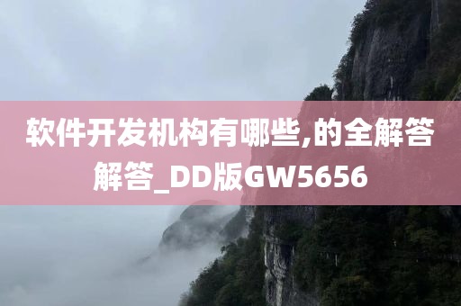 软件开发机构有哪些,的全解答解答_DD版GW5656