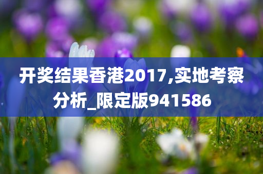 开奖结果香港2017,实地考察分析_限定版941586