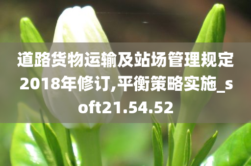 道路货物运输及站场管理规定2018年修订,平衡策略实施_soft21.54.52