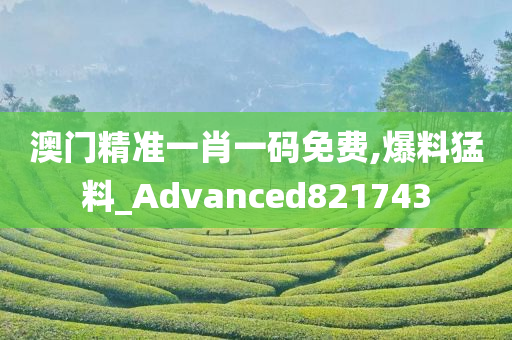 澳门精准一肖一码免费,爆料猛料_Advanced821743