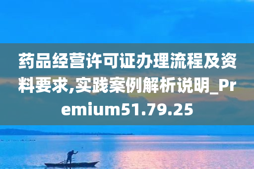 药品经营许可证办理流程及资料要求,实践案例解析说明_Premium51.79.25