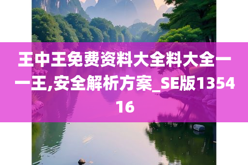 王中王免费资料大全料大全一一王,安全解析方案_SE版135416