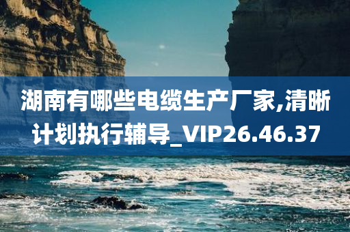 湖南有哪些电缆生产厂家,清晰计划执行辅导_VIP26.46.37