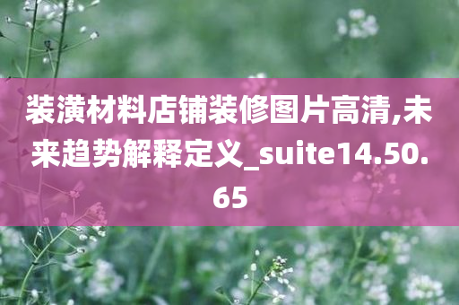 装潢材料店铺装修图片高清,未来趋势解释定义_suite14.50.65