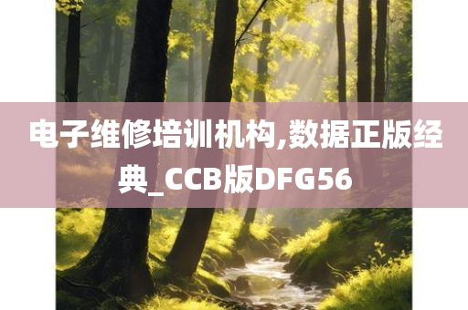 电子维修培训机构,数据正版经典_CCB版DFG56