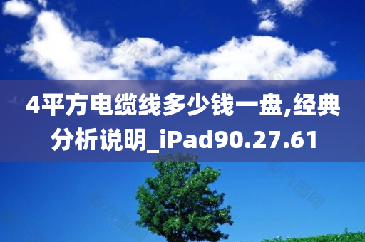 4平方电缆线多少钱一盘,经典分析说明_iPad90.27.61