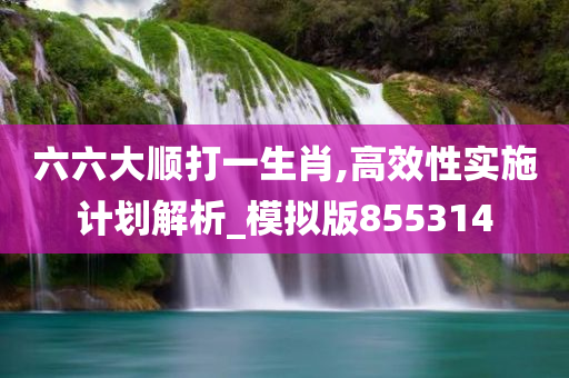 六六大顺打一生肖,高效性实施计划解析_模拟版855314