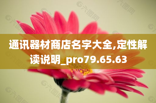 通讯器材商店名字大全,定性解读说明_pro79.65.63