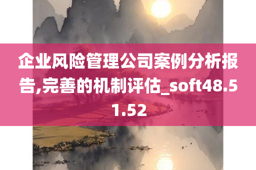 企业风险管理公司案例分析报告,完善的机制评估_soft48.51.52