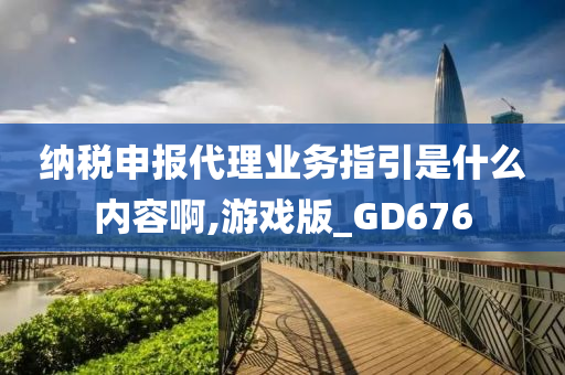 纳税申报代理业务指引是什么内容啊,游戏版_GD676