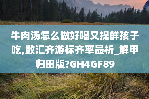 牛肉汤怎么做好喝又提鲜孩子吃,数汇齐游标齐率最析_解甲归田版?GH4GF89