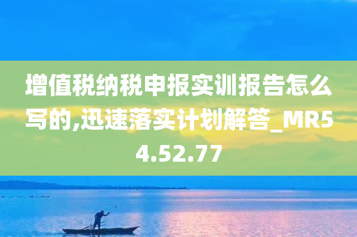 增值税纳税申报实训报告怎么写的,迅速落实计划解答_MR54.52.77