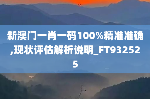 新澳门一肖一码100%精准准确,现状评估解析说明_FT932525