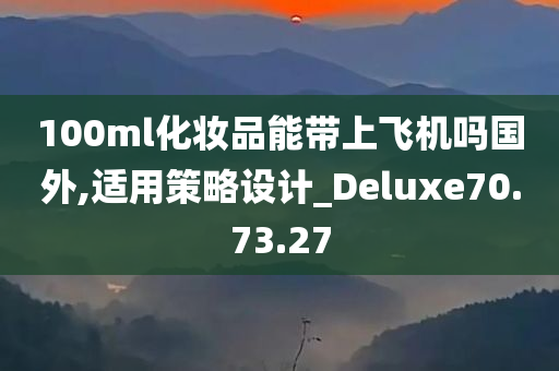 100ml化妆品能带上飞机吗国外,适用策略设计_Deluxe70.73.27