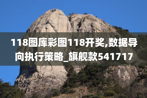 118图库彩图118开奖,数据导向执行策略_旗舰款541717