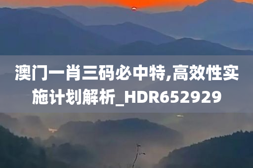 澳门一肖三码必中特,高效性实施计划解析_HDR652929