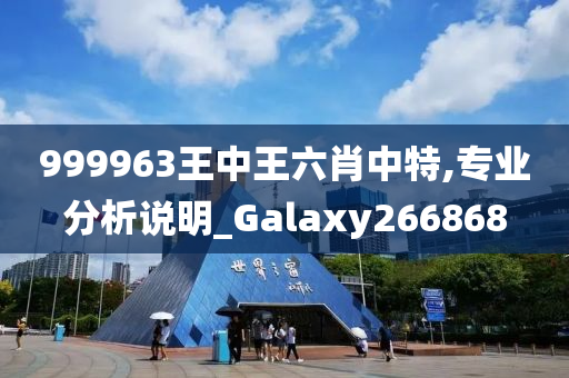 999963王中王六肖中特,专业分析说明_Galaxy266868