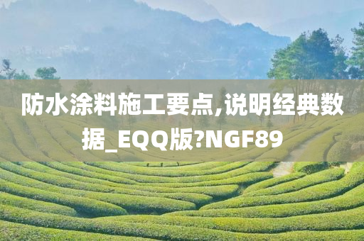 防水涂料施工要点,说明经典数据_EQQ版?NGF89