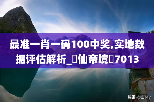 最准一肖一码100中奖,实地数据评估解析_‌仙帝境‌7013