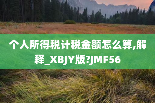 个人所得税计税金额怎么算,解释_XBJY版?JMF56