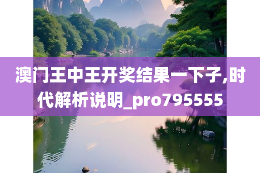 澳门王中王开奖结果一下子,时代解析说明_pro795555