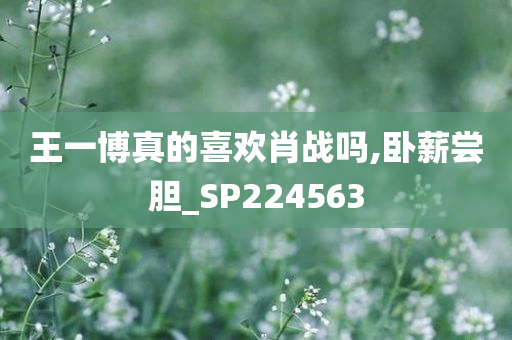 王一博真的喜欢肖战吗,卧薪尝胆_SP224563