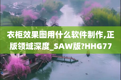 衣柜效果图用什么软件制作,正版领域深度_SAW版?HHG77