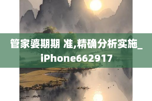 管家婆期期 准,精确分析实施_iPhone662917