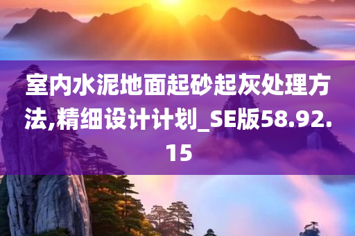 室内水泥地面起砂起灰处理方法,精细设计计划_SE版58.92.15