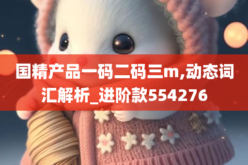 国精产品一码二码三m,动态词汇解析_进阶款554276