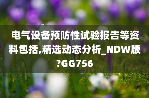 电气设备预防性试验报告等资料包括,精选动态分析_NDW版?GG756