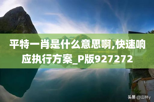 平特一肖是什么意思啊,快速响应执行方案_P版927272